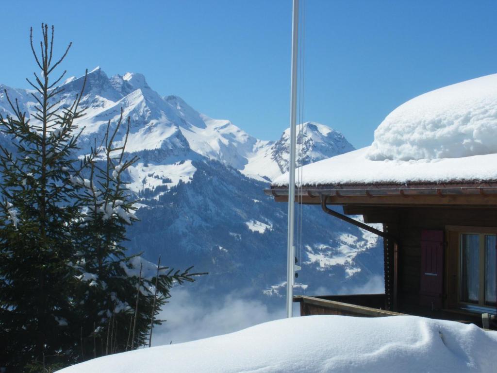 Chalet Blatti 하슬리베르크 외부 사진